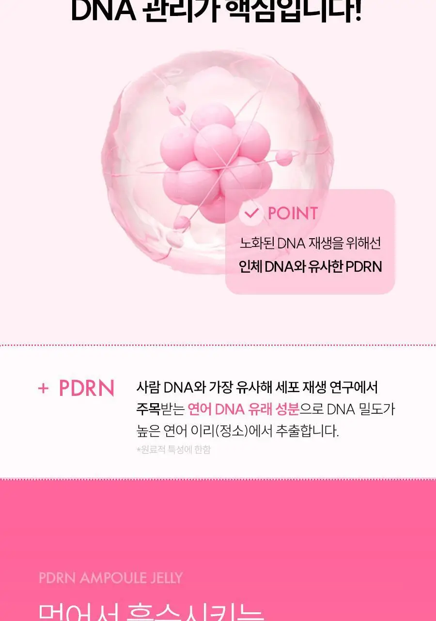 [먹는 앰플젤리] 푸드올로지 앰플젤리 7포 5종 택1(PDRN/글루타치온C/히알루론산/시카/NMN) 상세페이지 12